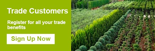 Trade Customers. Register for all your trade benefits. Sign Up Now