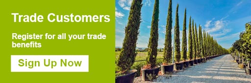 Trade Customers. Register for all your trade benefits. Sign Up Now